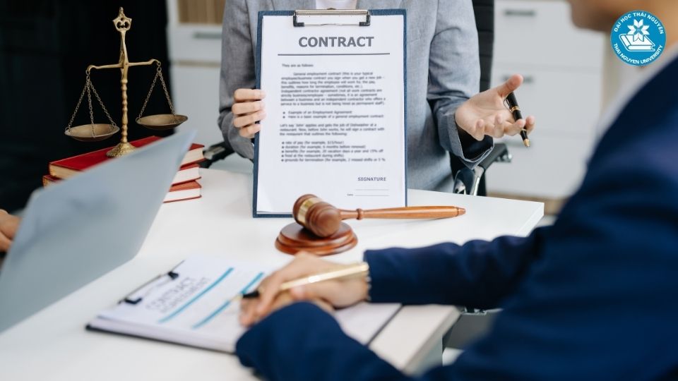 Những môn học cốt lõi trong ngành luật kinh tế bạn cần biết