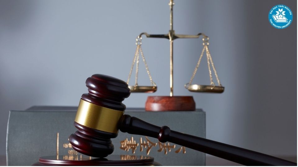 Ngành Luật kinh tế học trường nào