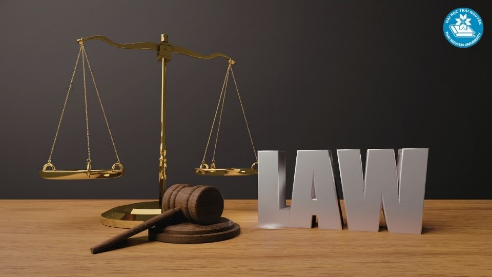 Ngành luật kinh tế là gì và tại sao ngày càng được quan tâm?