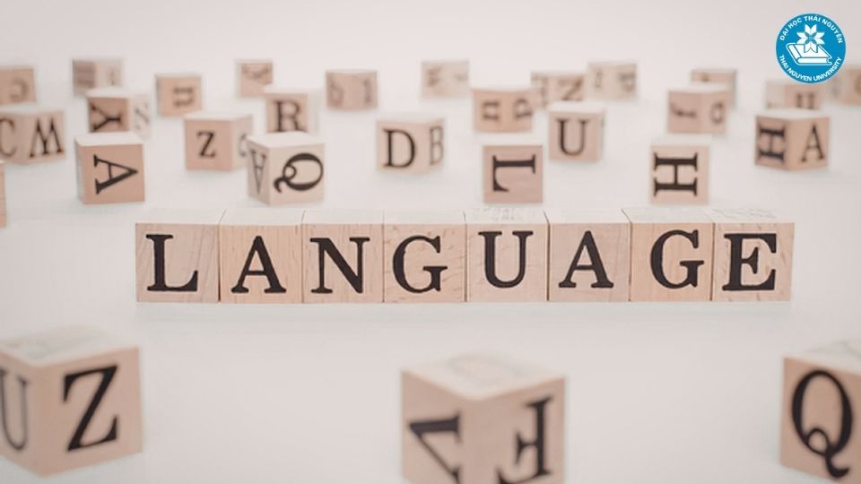 Các trường đào tạo ngành ngôn ngữ trung nên cân nhắc hiện nay