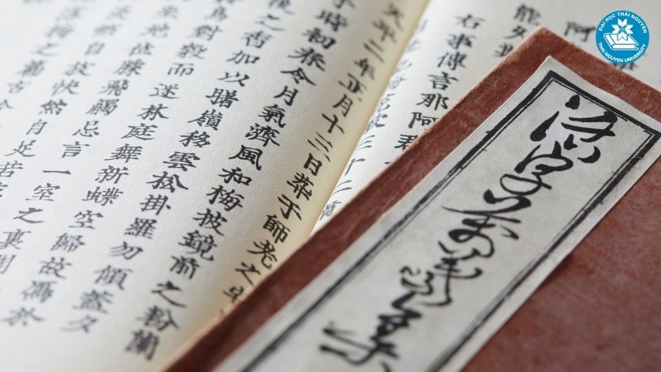 Lời khuyên chọn trường và định hướng học ngành ngôn ngữ Trung hiệu quả