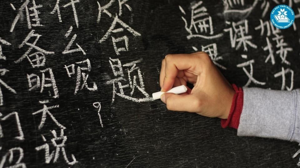 Tổng quan về sức hút của các trường đại học có ngành ngôn ngữ trung hiện nay