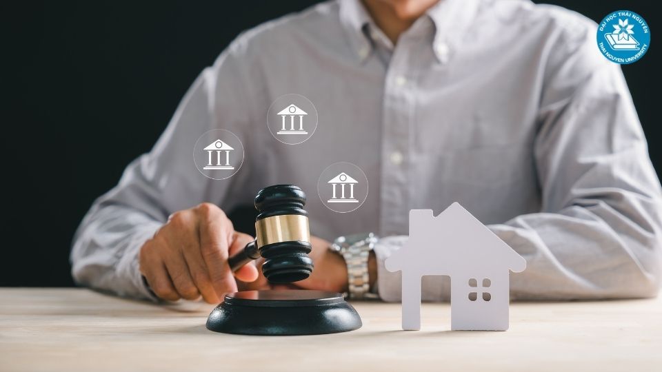 Những vị trí việc làm phổ biến của ngành luật kinh tế