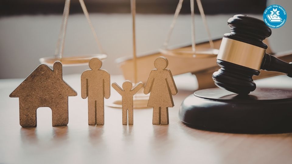 Lộ trình phát triển sự nghiệp trong lĩnh vực luật kinh tế