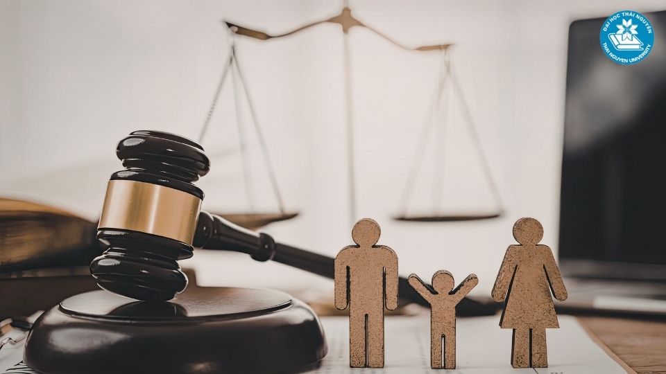 Học ngành Luật kinh tế tại Đại học Thái Nguyên