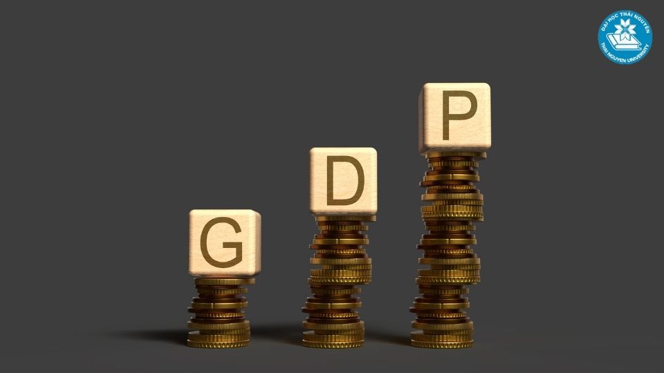 Sức hút của ngành Luật kinh tế trong năm 2026