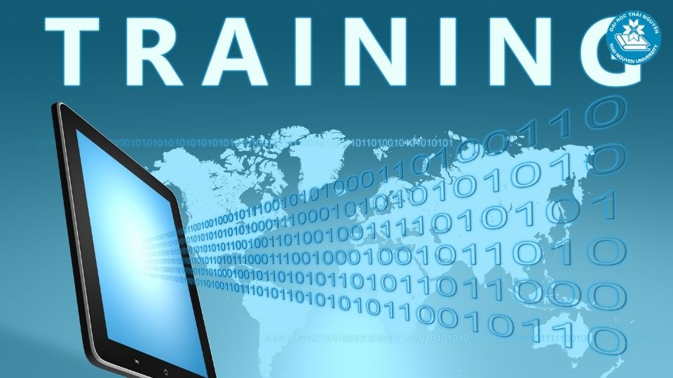 Chương trình đào tạo và các chuyên ngành luật phổ biến hiện nay