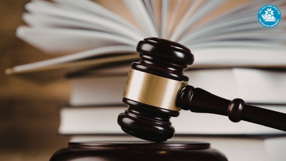 Các tổ hợp môn xét tuyển ngành luật phổ biến