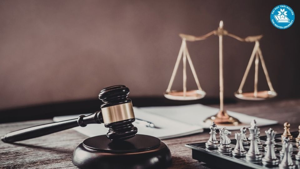 Học luật cần giỏi môn gì để theo đuổi ngành luật?