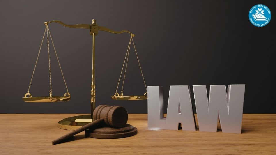 Cơ hội việc làm ngành luật trong doanh nghiệp và tổ chức