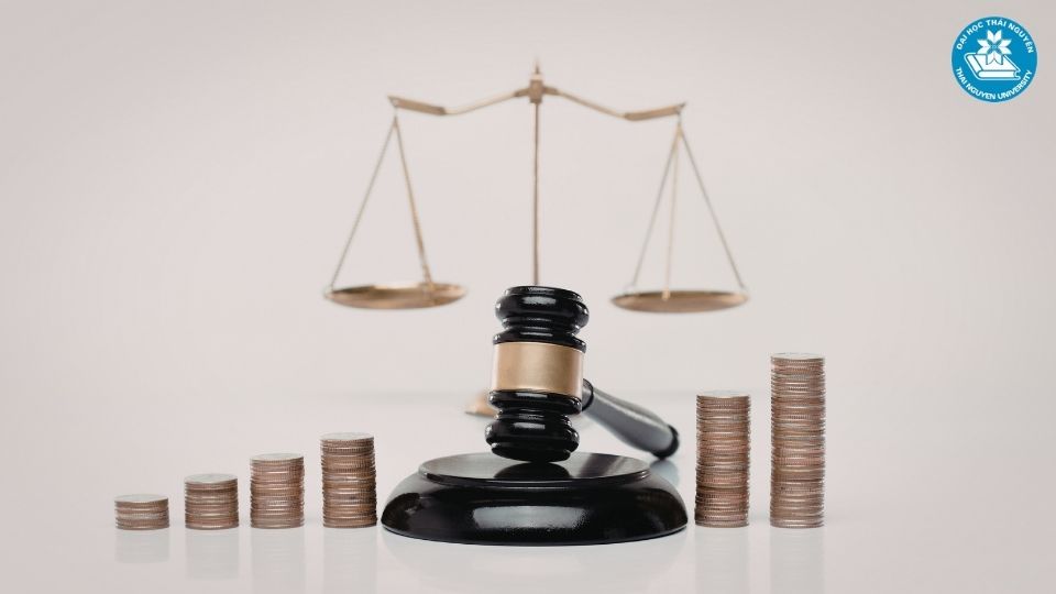 Học luật làm nghề gì 3 lựa chọn nghề nghiệp phổ biến nhất