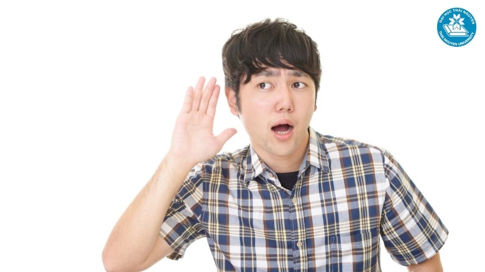 Bí quyết tìm việc làm ngành luật hiệu quả cho sinh viên