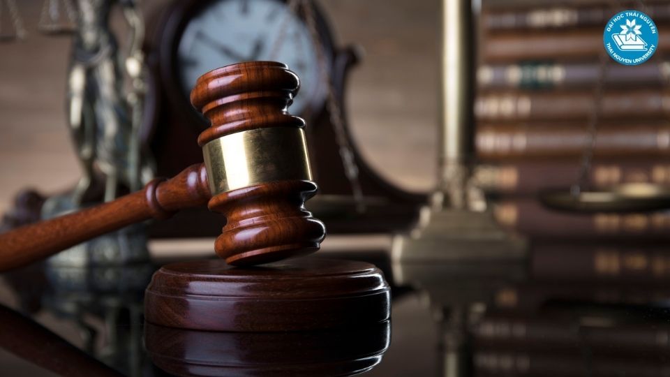 Học luật ra làm gì và những cơ hội nghề nghiệp phổ biến