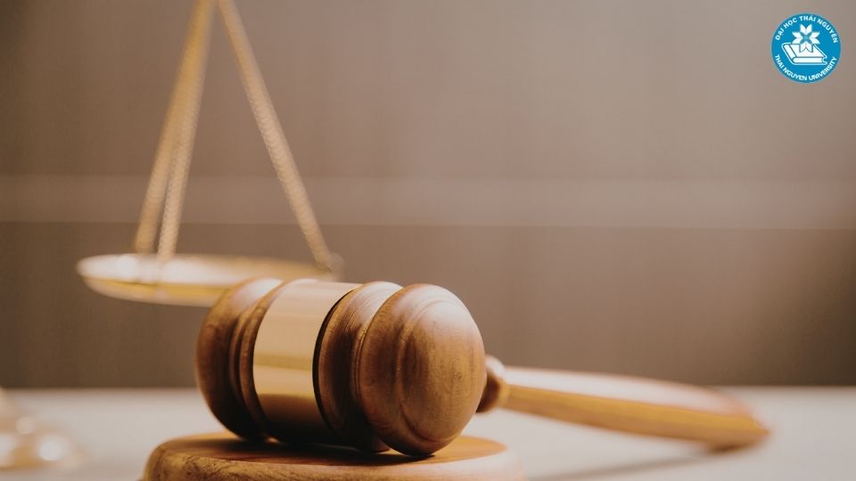 Ngành luật kinh tế làm nghề gì và những vị trí công việc phổ biến