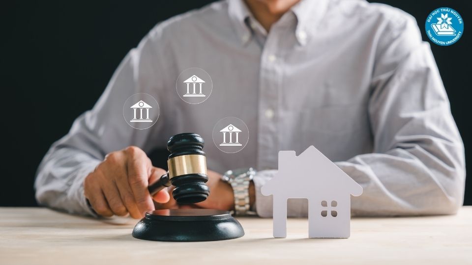 Mã ngành luật kinh tế và những thông tin căn bản nhất