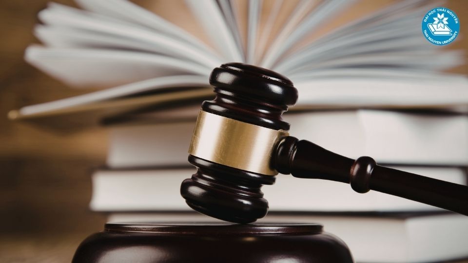 Các chuyên ngành luật phổ biến hiện nay