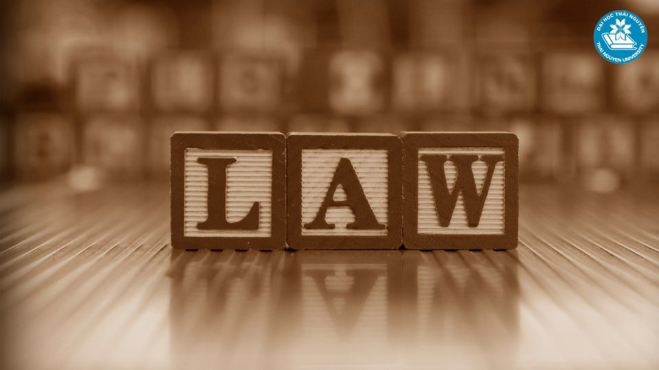 Học ngành luật theo hệ từ xa tại Đại học Thái Nguyên