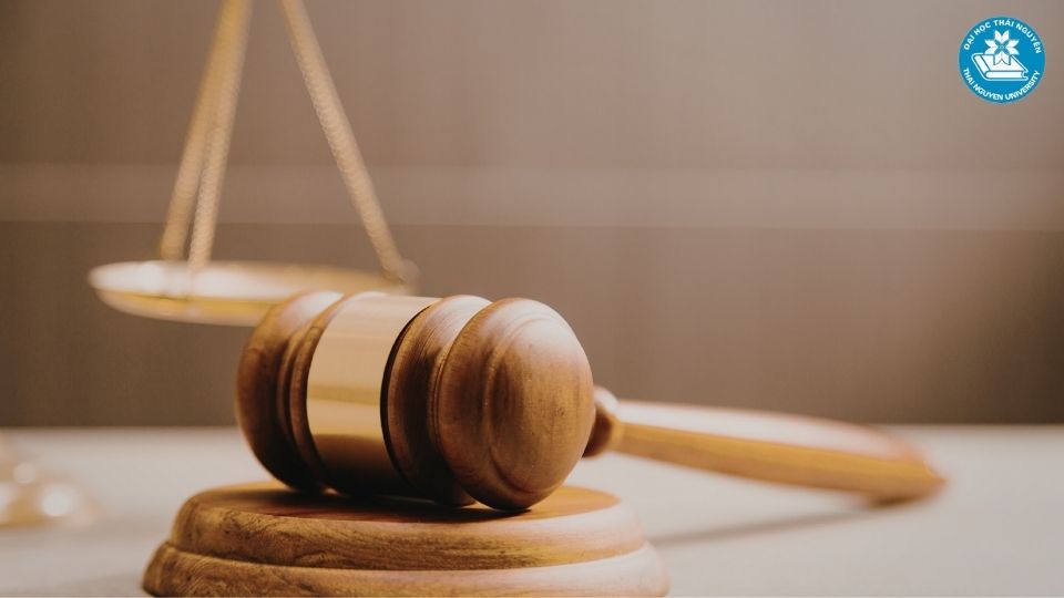 Ngành luật là gì