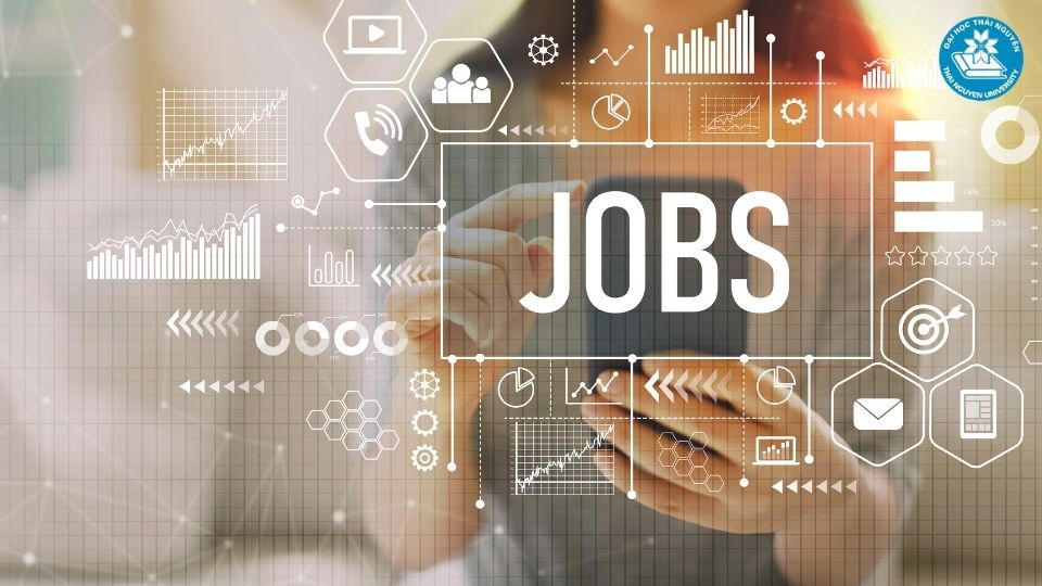 Cơ hội nghề nghiệp và thực tế thị trường lao động ngành luật