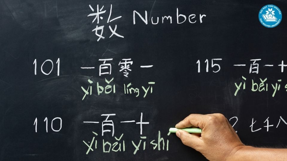 Kinh nghiệm chọn trường và xây dựng lộ trình học hiệu quả